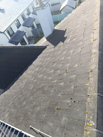 Roof Cleaning