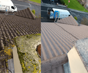 roof cleaning