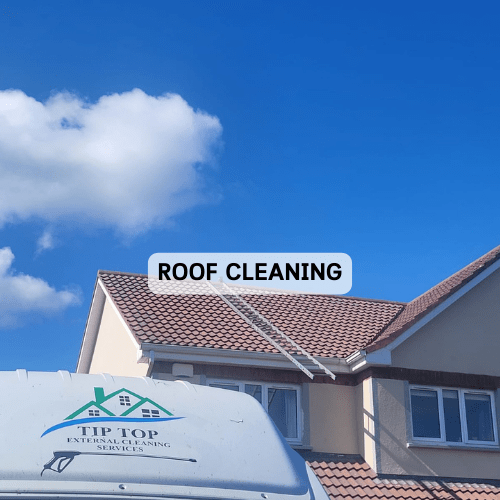 GALWAY ROOF CLEANING